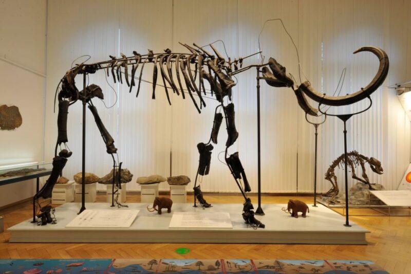 Ljubljana: City Card - Discover Ljubljana’s Natural Wonders at the Zoo and Snovik Spa