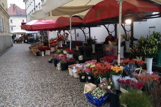 Ljubljana City Tour Including Ljubljana Castle - Visiting the Cathedral of St. Nicholas and Its Magnificent Entrance