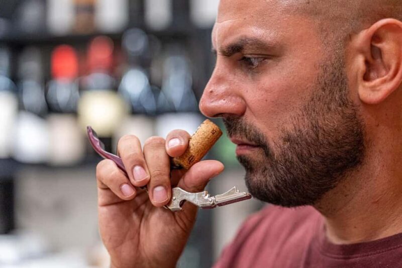 Ljubljana: Interactive Wine Tasting Experience - Key Points