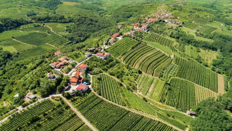 Ljubljana: Karst and Gorika Brda Tour with Lunch & Tastings - Key Points