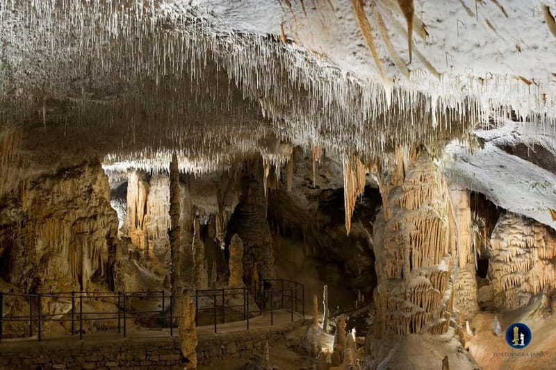 Ljubljana: Postojna Cave and Predjama Castle Tour - Discover the Wonders of Postojna Cave and Predjama Castle