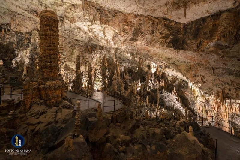 Ljubljana: Postojna Cave and Predjama Castle Tour - Who Will Enjoy This Tour?