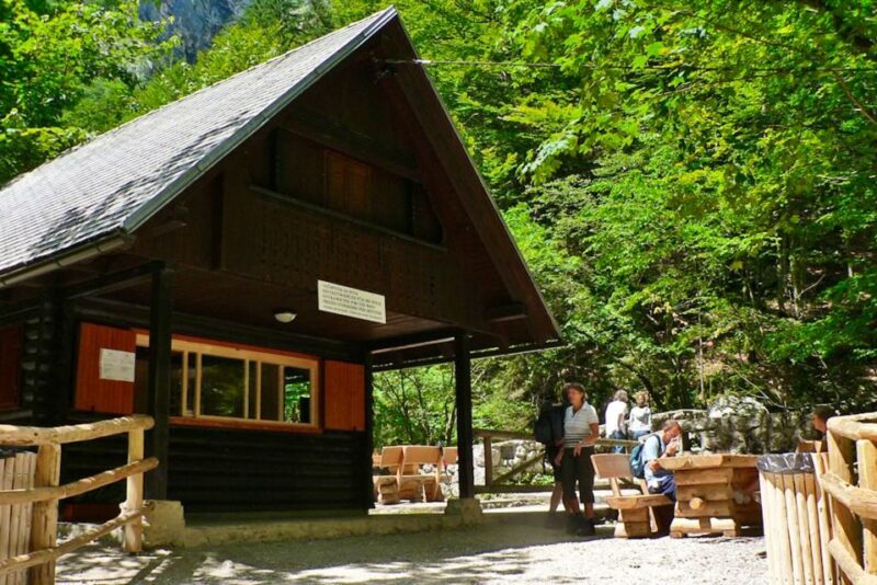 Ljubljana: Savica Waterfall, Lake Bohinj, and Lake Bled Tour - Relaxing at Lake Bohinj and Its Pristine Waters