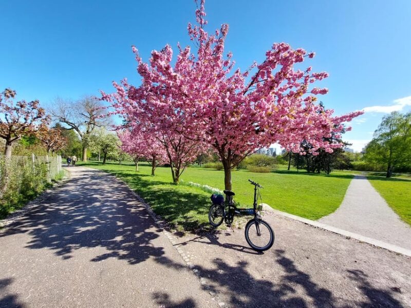 Ljubljana Sightseeing Tour by E-bikes - The Value of the Ljubljana E-Bike Tour