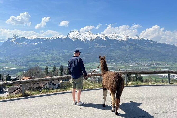 Llama hike with homemade, traditional cheese fondue - Key Points