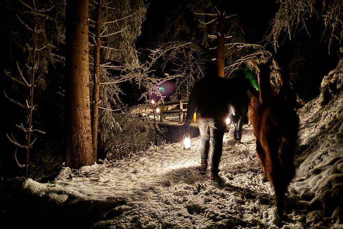 Llama hike with homemade, traditional cheese fondue - Scenic Mountain Views and Photo Opportunities