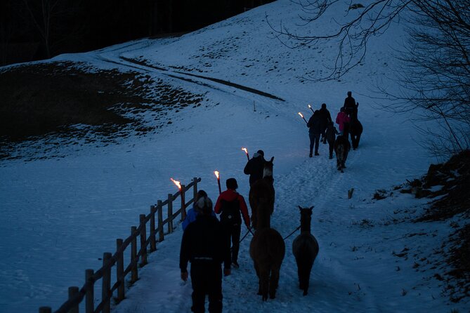 Llama hike with homemade, traditional cheese fondue - The Sum Up: A Delightful Mix of Nature, Animals, and Food in Liechtenstein