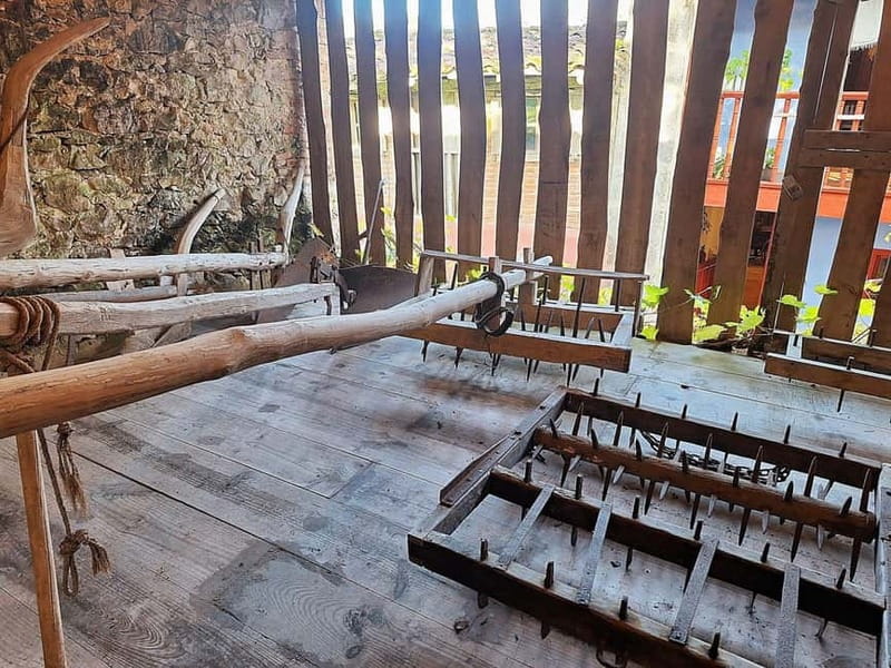 Llanes and Ethnographic Museum Eastern Asturias Tour - Logistics, Group Size, and Comfort