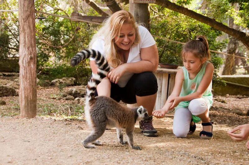 Lloc de Menorca Animal Park: Wildlife & Nature Experience - Limitations and Considerations