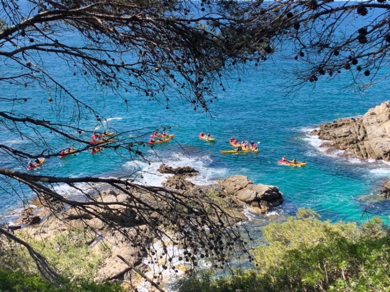 Lloret de Mar: 3-Hour Kayak and Snorkel Tour on Costa Brava - What Sets This Tour Apart from Other Coastal Activities
