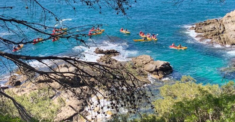 Lloret de Mar: 3-Hour Kayak and Snorkel Tour on Costa Brava - Limitations and Considerations