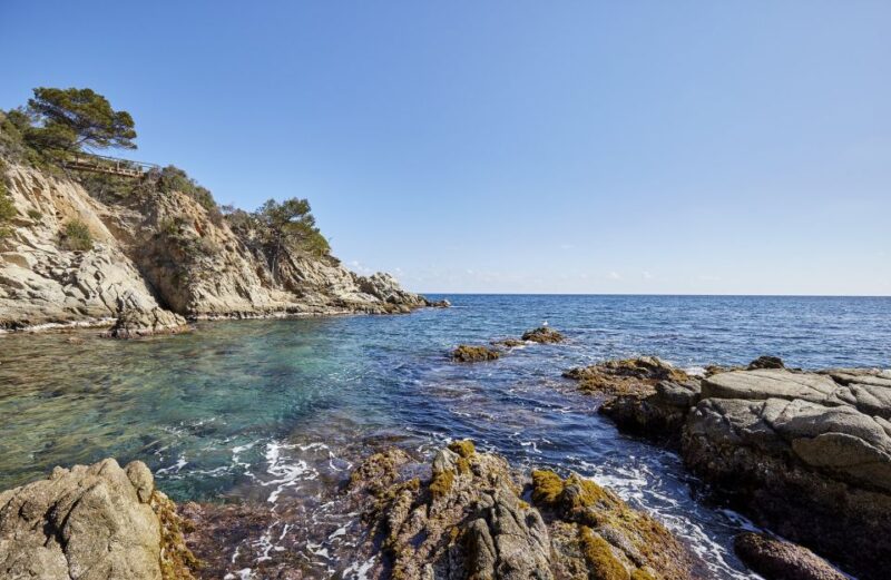 Lloret de Mar: Costa Brava Kayak Tour and Swimming - The Route: Fenals to S’Aguilla and Back