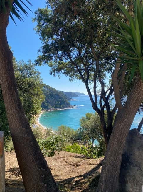 Lloret de Mar: Guided Sightseeing Tour in a 4x4 Vehicle - Discover Lloret de Mar Behind the Wheel of a Vintage Land Rover