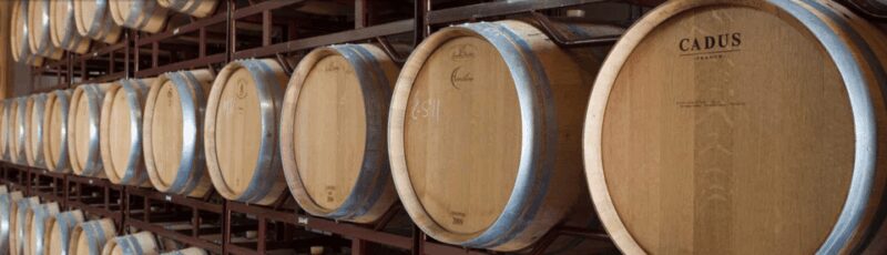 Llucmajor: Bodegas Bordoy Wine Tour - Exploring Bodegas Bordoy in Llucmajor
