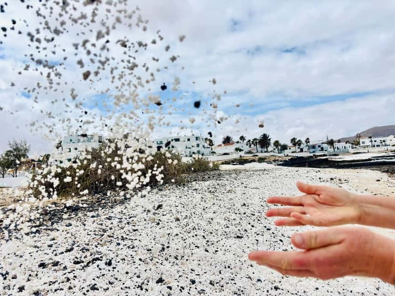 Lobos,Dunes,Popcorn Beach: small 8 persons group with guide! - Lobos Island: A Protected Paradise with 3 Hours of Free Time