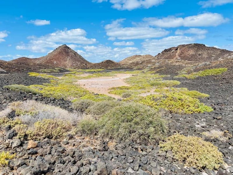 Lobos,Dunes,Popcorn Beach: small 8 persons group with guide! - The Experience with the Guide: Knowledge and Humor