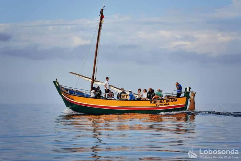 Lobosonda Ribeira Brava whale watching tour - Discover the Lobosonda Ribeira Brava Whale Watching Adventure in Madeira