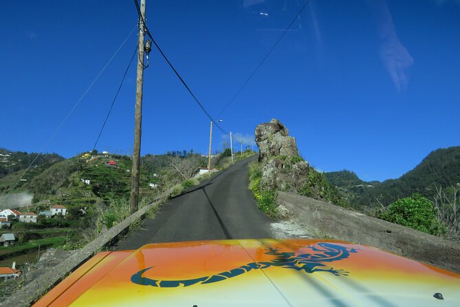 Local Farmers Market and 4WD Experience from Funchal - The 4x4 Experience and Guide Expertise