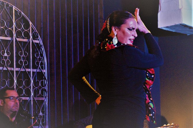 Local Flamenco Show at El Cortijo - The Flamenco Performers: Passionate Artists Bringing Dances to Life