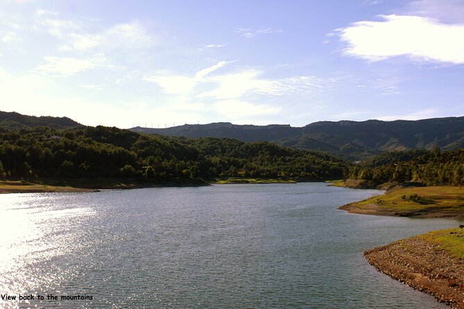 LOCAL FLAVORS! Half-Day Bike Tour with Olive Oil Tasting - Refreshments and Socializing at a Local Bar