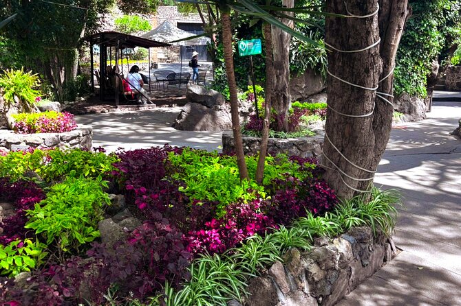 Local Fun from CDMX to The Grotto and the Pyramids of Teotihuacá - Cultural Experience at PUEBLO MAGICO