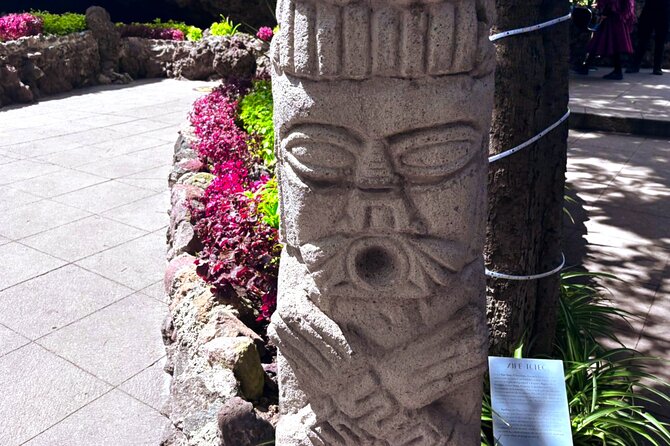 Local Fun from CDMX to The Grotto and the Pyramids of Teotihuacá - Physical Demands and Accessibility