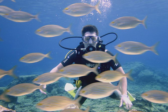 Local Guided Dives (for certified/licensed divers) - Key Points