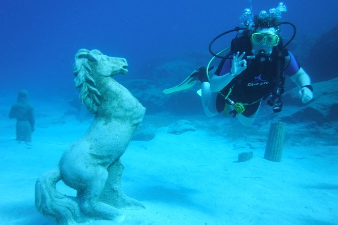 Local Guided Dives (for certified/licensed divers) - What’s Included and What to Bring