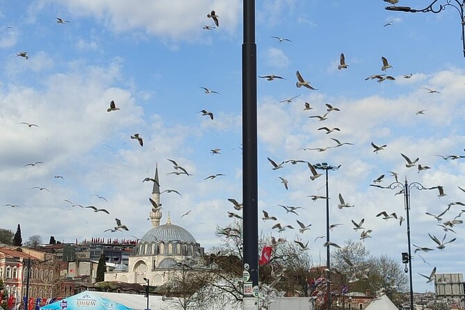 Local Tour with Guide Taha - Discovering the Basilica Cistern’s Mystique