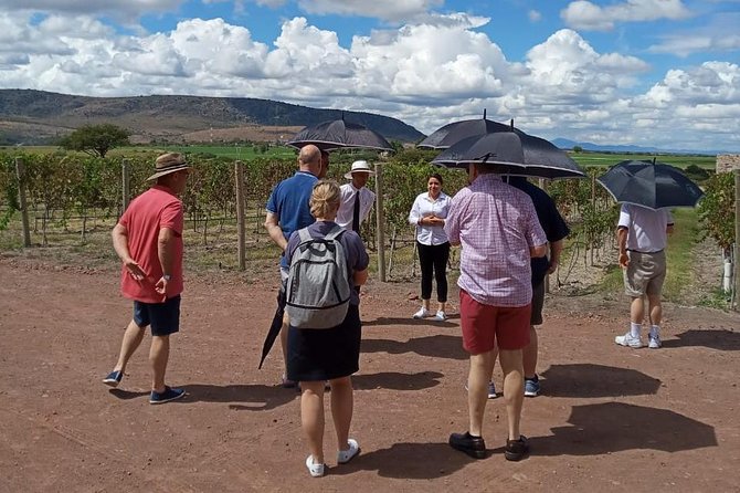 Local Vineyard Tour & Wine Tasting at the Independence Valley - Tres Raices Winery in Valle de La Independencia