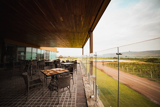 Local Vineyard Tour & Wine Tasting at the Independence Valley - Post-Tasting Options and Vineyard Facilities