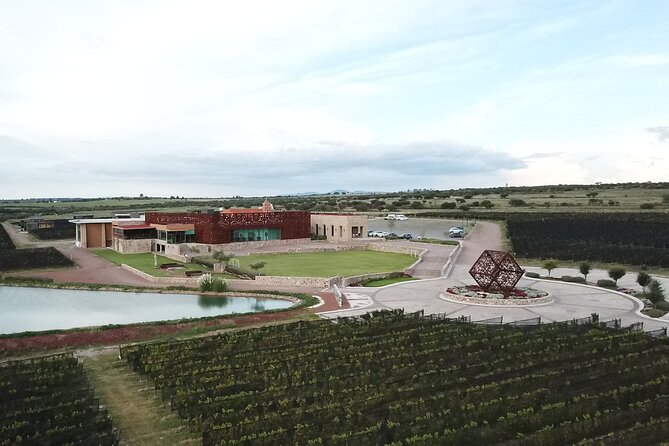 Local Vineyard Tour & Wine Tasting at the Independence Valley - Comfort and Transportation Logistics