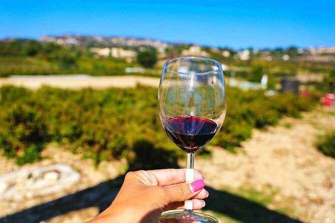 Local Wineries Tour with Wine Testing from Paphos - Explore Cyprus’s Boutique Wineries with Guided Tastings from Paphos