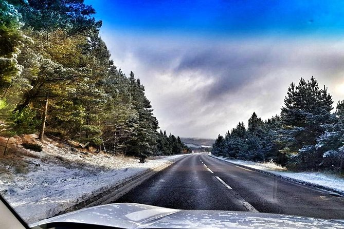 Loch Lomond & The Highlands Private Day Tour with Scottish Local - Lunch at the Roman Camp Bistro: Scottish Produce and Local Flavors