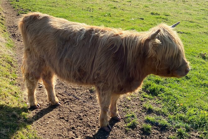 loch Ness, Clava Cairns, Culloden, COO,S, DRAMS & Outlander sites - Key Points