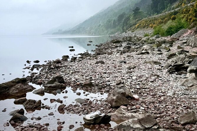 Loch Ness, Culloden, Clava and whisky/gin tour from Inverness. - Historic Beauly and Highland Cattle