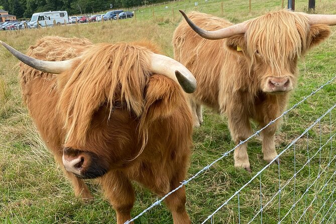 loch Ness, Inverness and Outlander Sites From Invergordon Port - Frequently Asked Questions