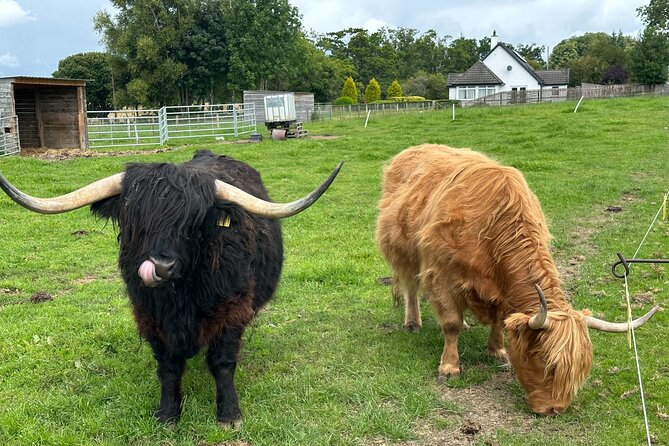 Loch Ness Tour: Day Trip to Loch Ness, Outlander Sites and More - Discover the Ultimate Highland Day Trip from Inverness