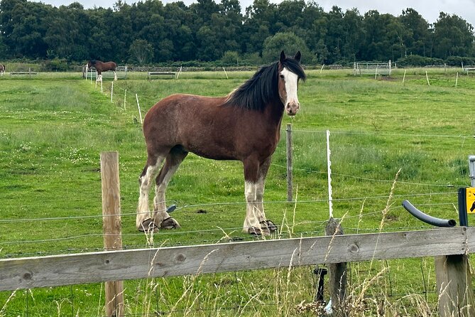 Loch Ness Tour: Day Trip to Loch Ness, Outlander Sites and More - Culloden Battlefield: The Last Major Battle on British Soil