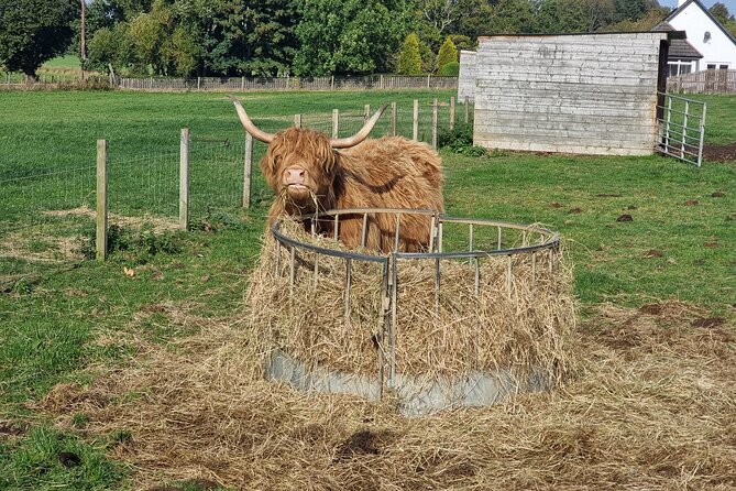Lochness and Inverness day Tour - Cawdor Castle: Walking Through Scottish Royal History