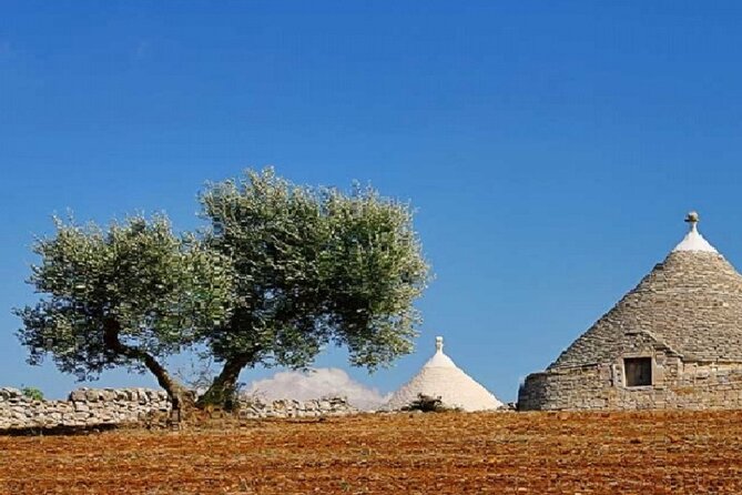 Locorotondo, Alberobello, Martina Franca departing from Taranto - The Experience at Each Stop: Tips and Highlights