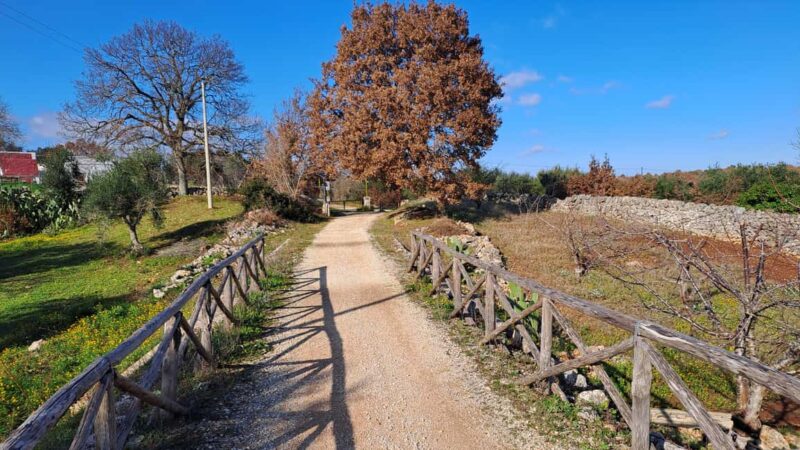 Locorotondo and Cisternino: E-Bike Tour with Ice Cream - Return Journey and Locorotondo’s Architectural Gems