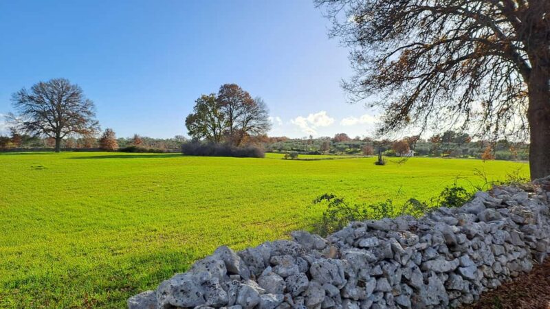 Locorotondo: E-Bike Tour to Alberobello with Ice Cream - Breathtaking Views from the Alberobello Viewpoint