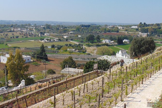 Locorotondo private tour: a charming town in the Itria Valley - Explore the Beauty of Locorotondo in the Itria Valley