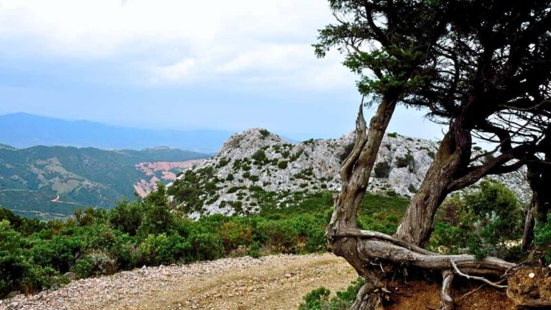 Lodè: trekking on Montalbo - The Route: Conquering the Peaks of Ferulargiu and Corru de sa Mandra