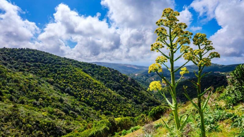 Lodè: trekking on Montalbo - Physical Demands and Trail Conditions