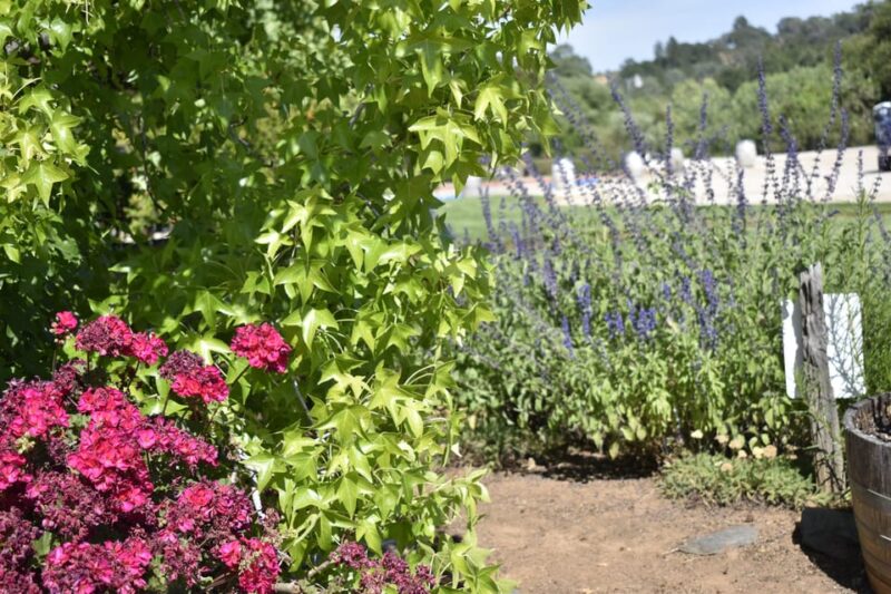 Lodi: Wine Tasting Tour Private Customized 1 -14 Group - Selecting Wineries for Your Perfect Day