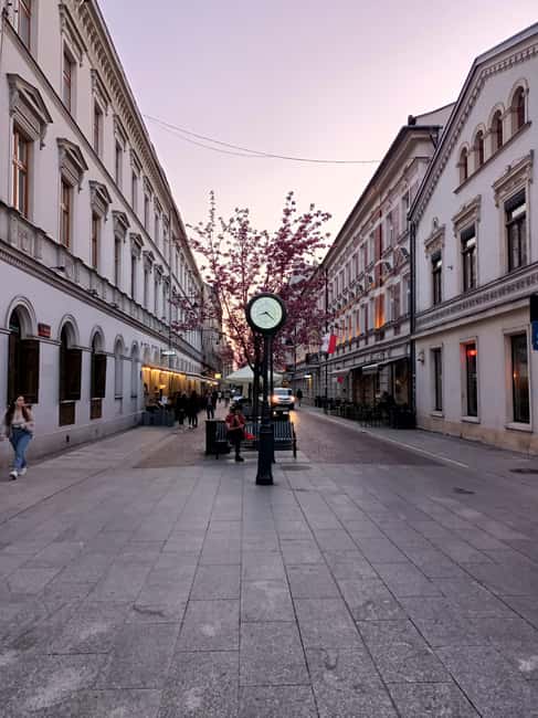 Lodz: Standard Walking Tour  2 Hours of Urban Stories - Logistics and Accessibility