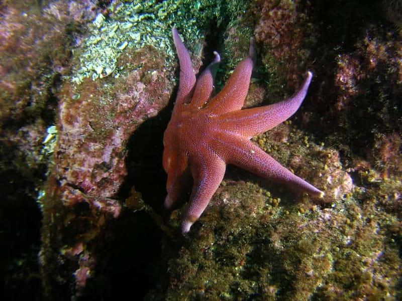 Lofoten: Family Snorkeling Tour - What’s Included in the Snorkeling Tour Package
