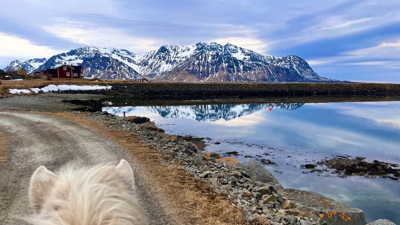 Lofoten: Guided Horse Riding Tour Over Hov and Hovsund - Key Points